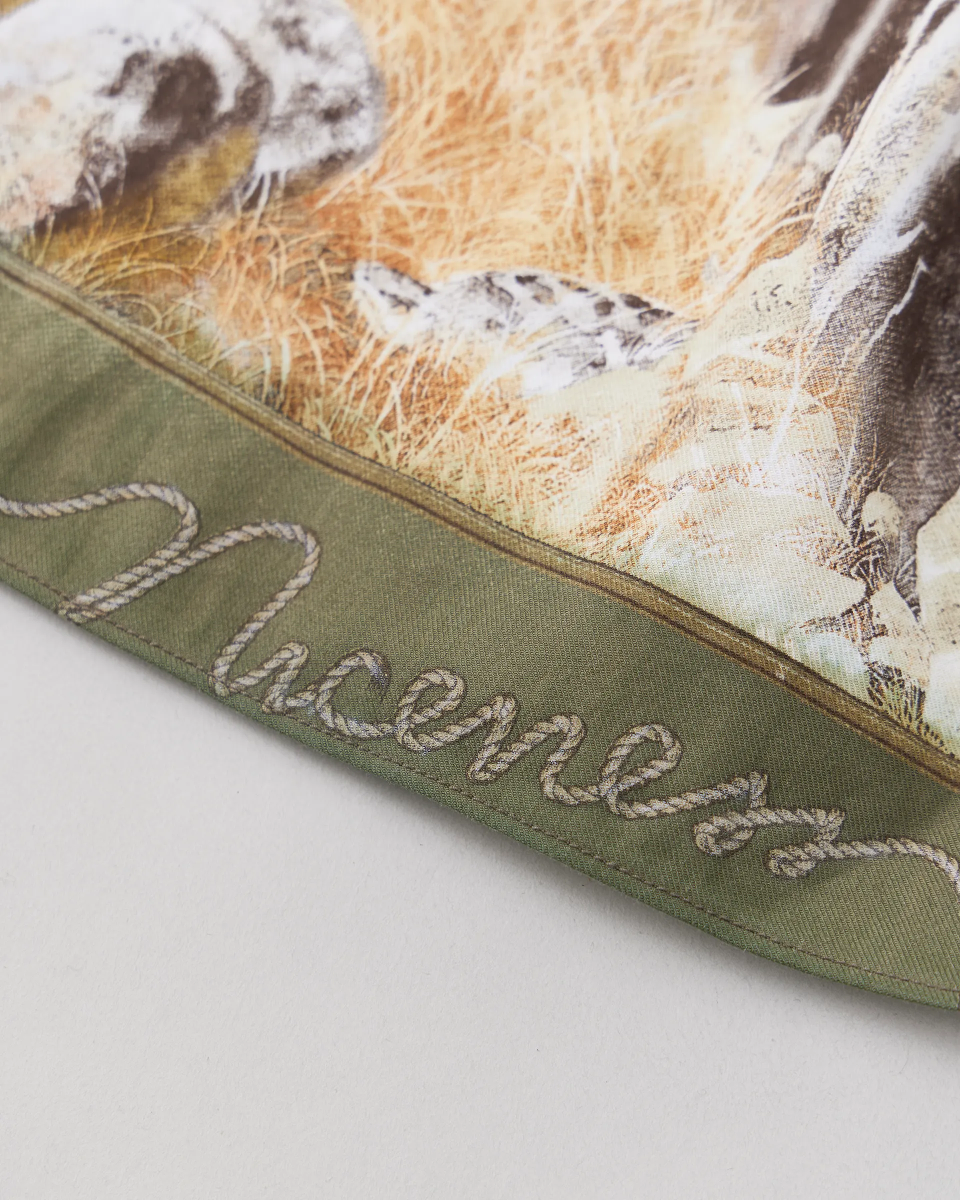 NICENESS | Official Website